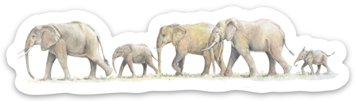 Elephant Parade Sticker • DSWF/GRI • 10cm